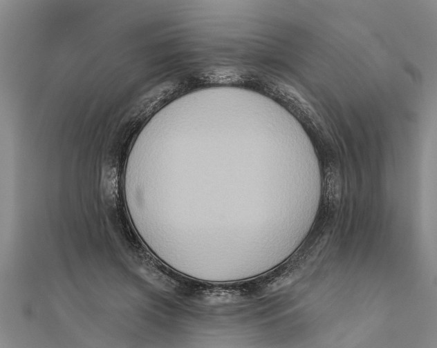 X0000111520549200908041246