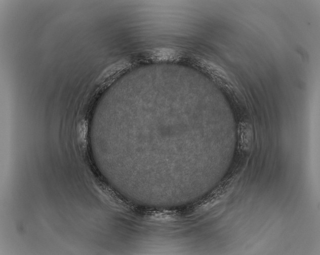X0000111520550200908041246