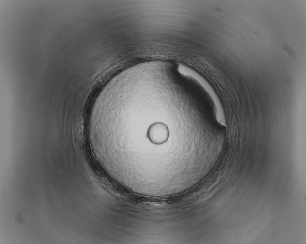 X0000111520552200908041246