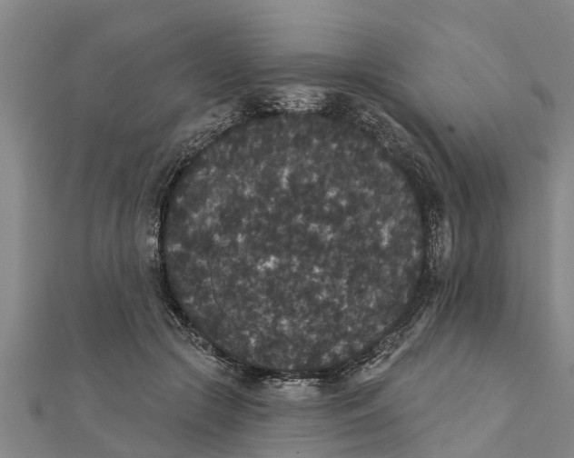 X0000111520553200908041246
