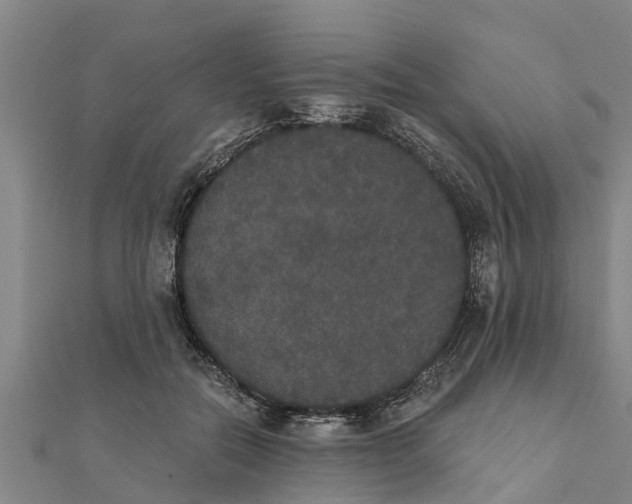 X0000111520554200908041246