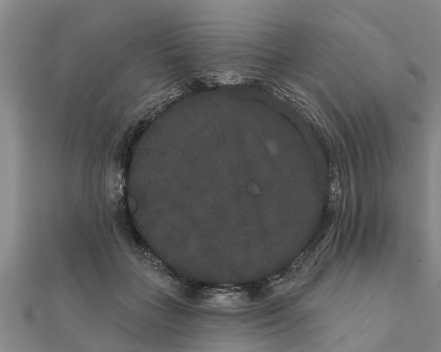 X0000111520555200908041246