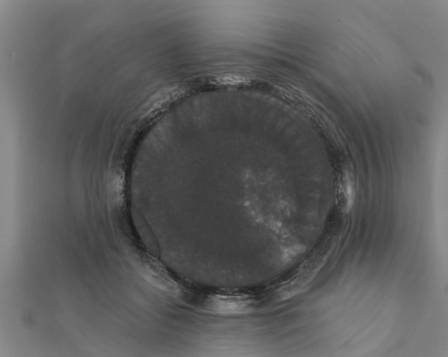 X0000111520556200908041246