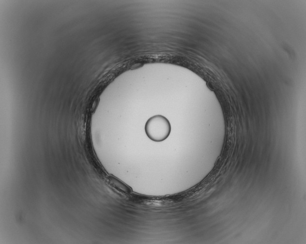 X0000111520558200908041246