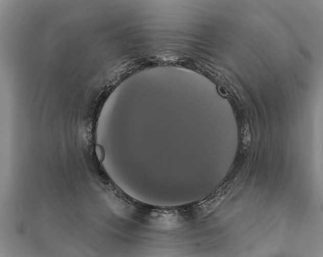 X0000111520559200908041246