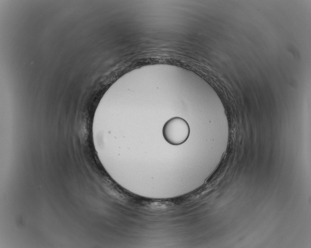 X0000111520566200908041246