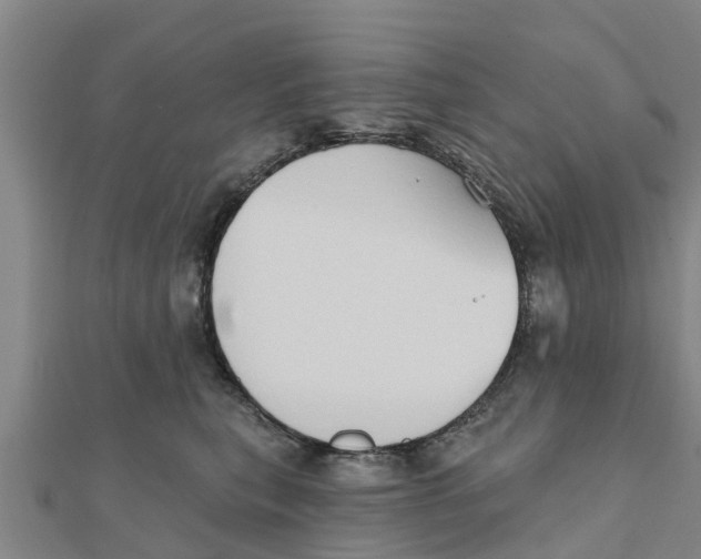 X0000111520567200908041246