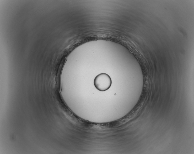 X0000111520568200908041246