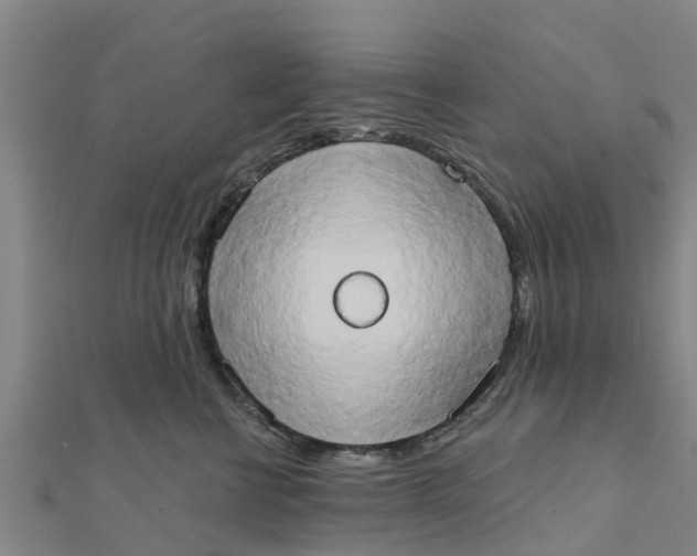 X0000111520570200908041246