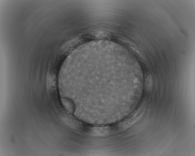 X0000111520571200908041246