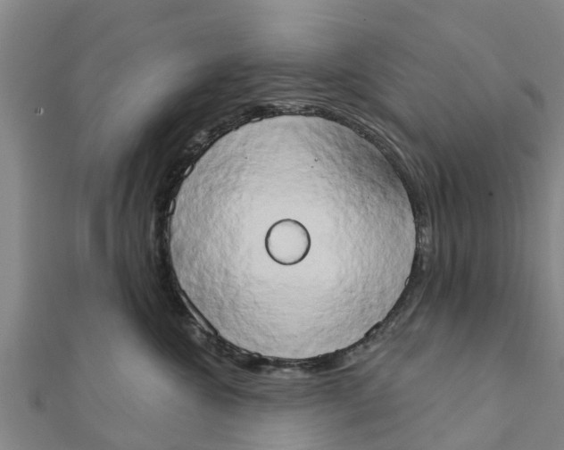 X0000111520572200908041246