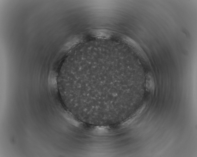 X0000111520573200908041246