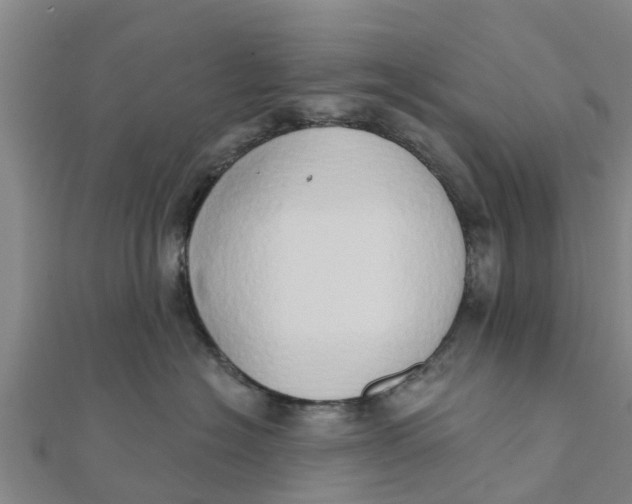X0000111520574200908041246