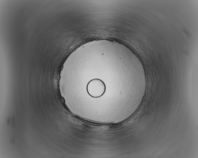 X0000111520576200908041246