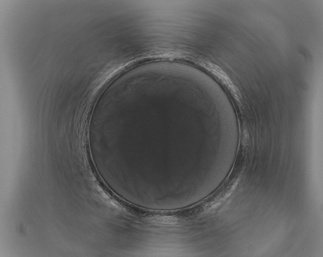 X0000111520577200908041245