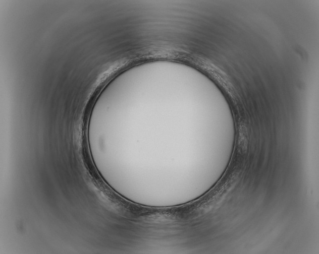 X0000111520578200908041245