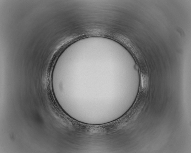 X0000111520579200908041245