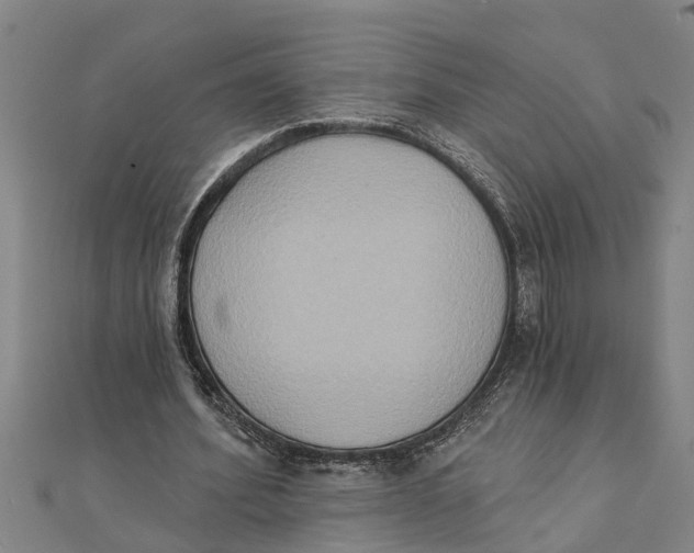 X0000111520580200908041245