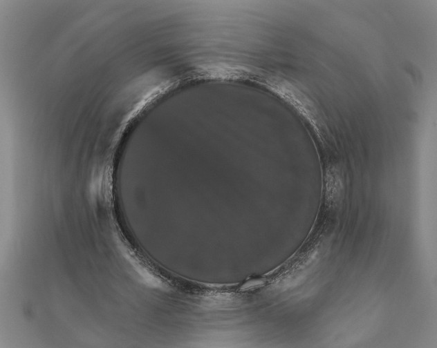 X0000111520581200908041245