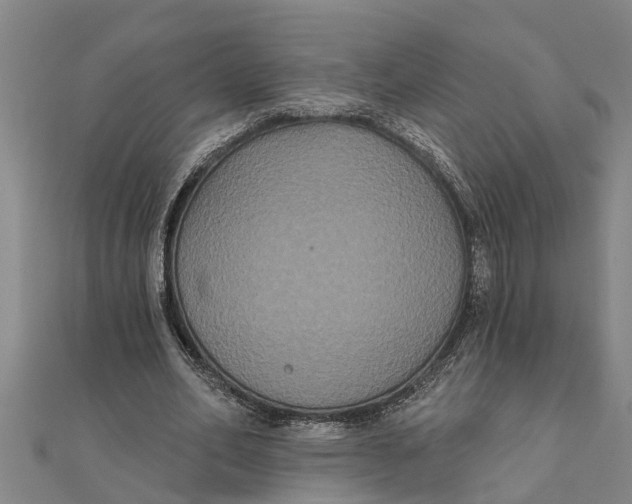 X0000111520582200908041245