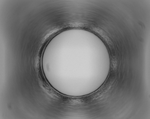 X0000111520583200908041245