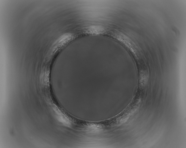 X0000111520585200908041245