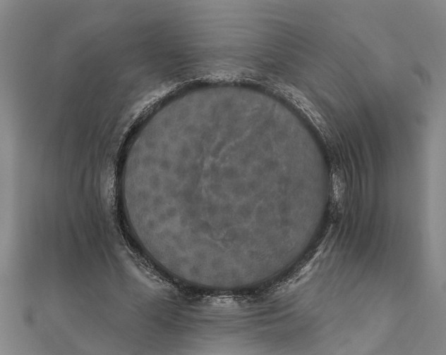 X0000111520588200908041245
