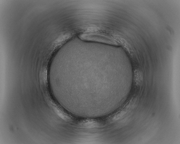 X0000111520589200908041245