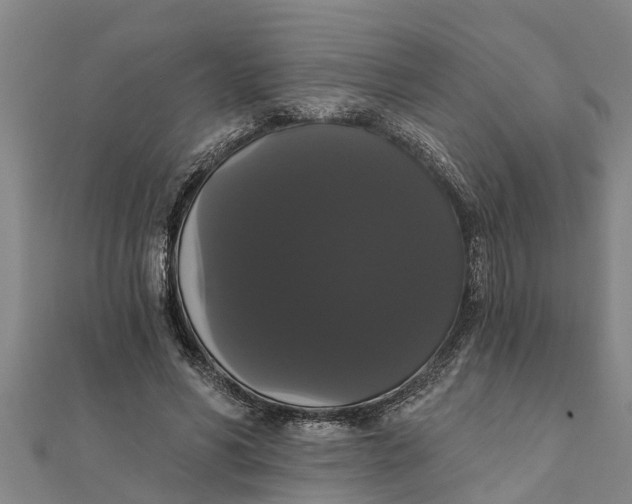X0000111520590200908041245