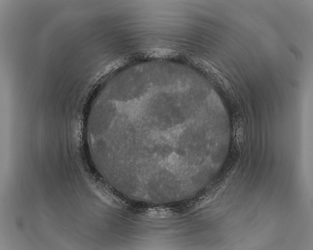 X0000111520591200908041245