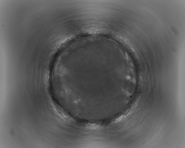 X0000111520592200908041245
