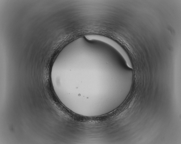 X0000111520593200908041245