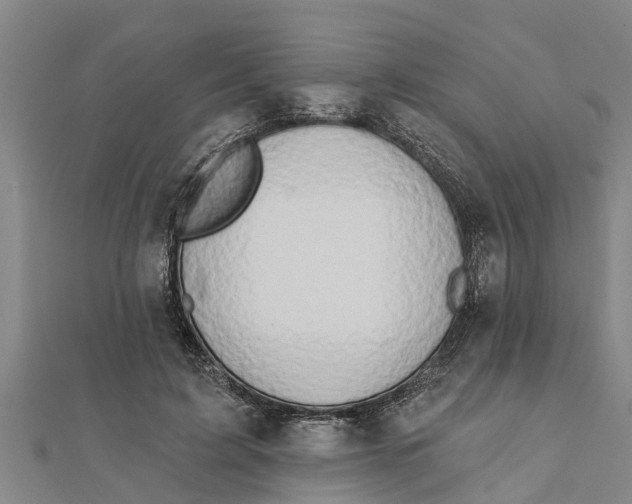 X0000111520595200908041245