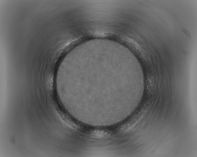 X0000111520596200908041245