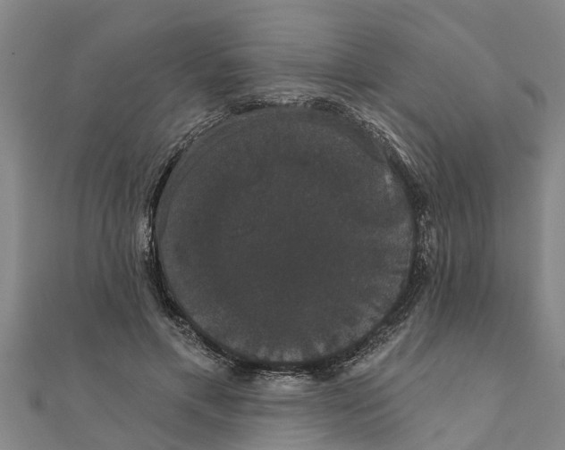 X0000111520597200908041245
