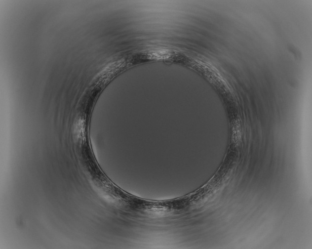X0000111520598200908041245