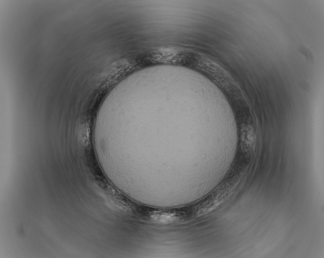 X0000111520602200908041245