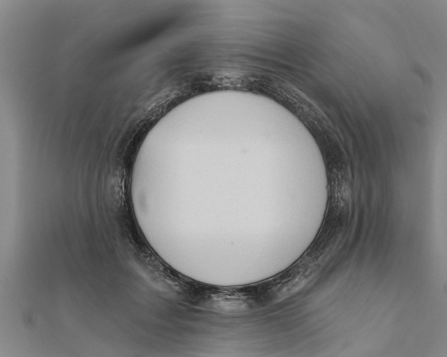 X0000111520603200908041245