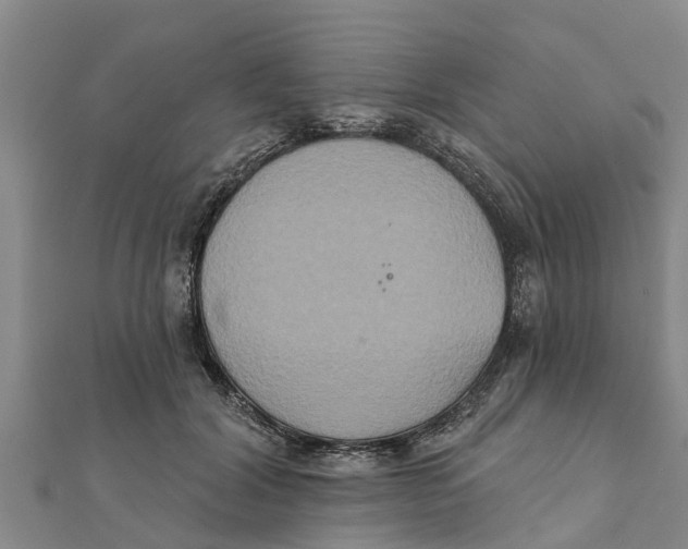 X0000111520604200908041245