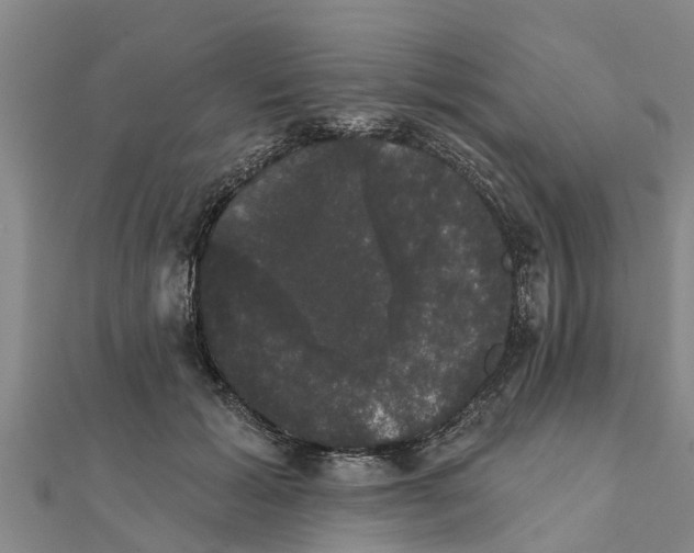 X0000111520605200908041245