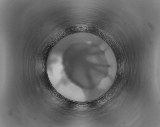 X0000111520606200908041245