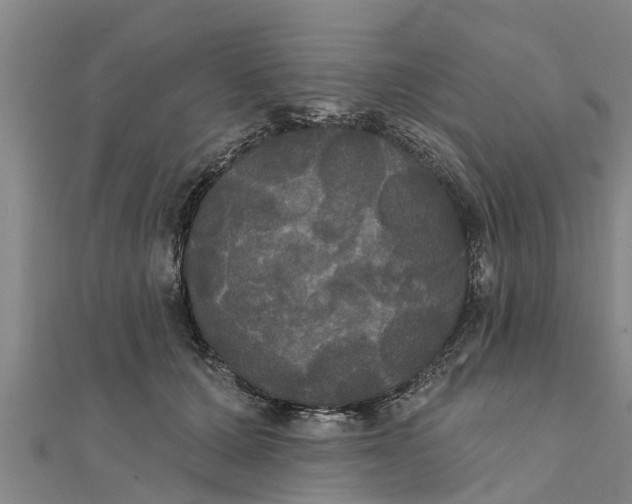 X0000111520607200908041245