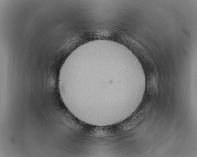 X0000111520608200908041245