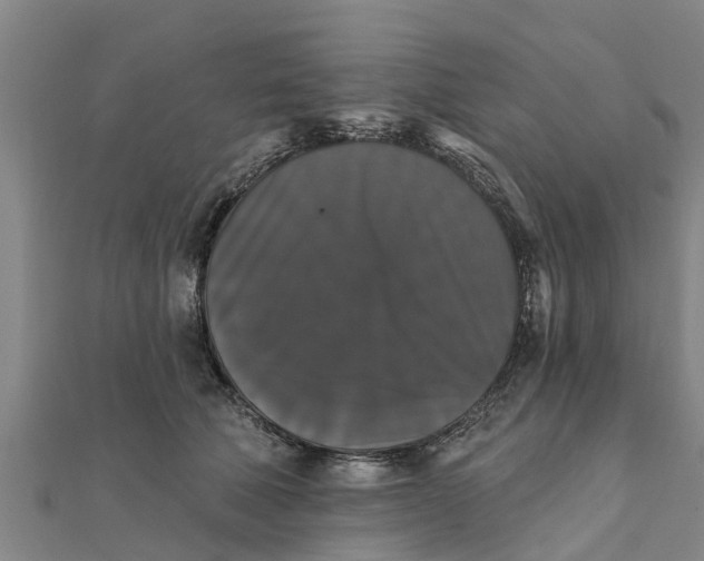 X0000111520610200908041245