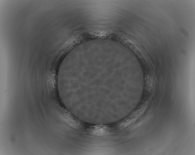X0000111520612200908041245