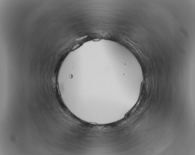 X0000111520613200908041245
