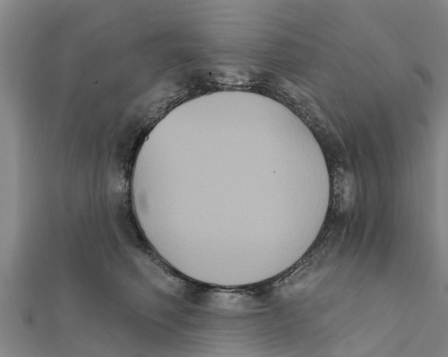 X0000111520614200908041245