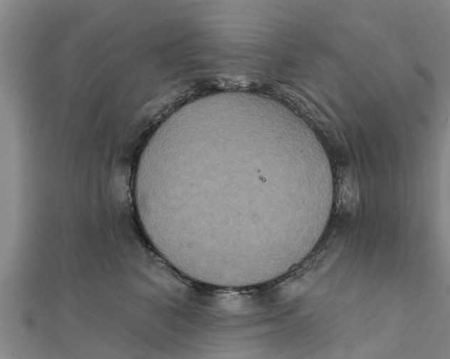 X0000111520616200908041245