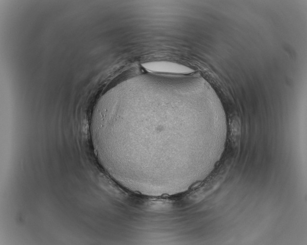 X0000111520617200908041245