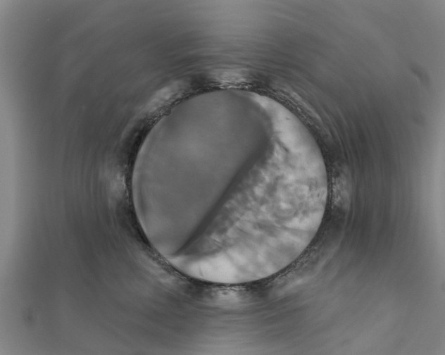 X0000111520618200908041245